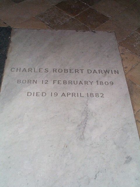 Darwin's Grave
